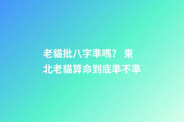 老貓批八字準嗎？ 東北老貓算命到底準不準-第1張-觀點-玄機派